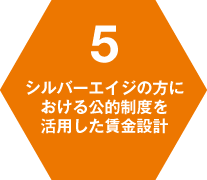 5 シルバーエイジの方における公的制度を活用した賃金設計