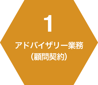 1 アドバイザリー業務（顧問契約）