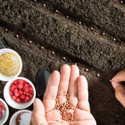 人材育成は植物を育てることと重なります。