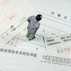 社会保険労務士の仕事とは？一つ一つの積み重ねが大事です！