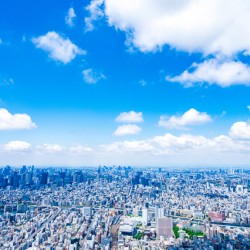 アールワンの「パーパス」が完成しました